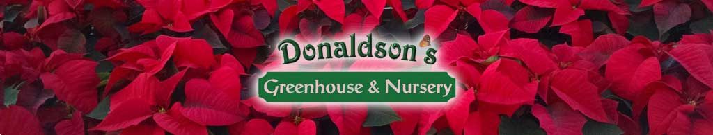 Donaldson’s Greenhouse